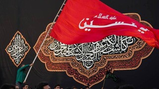 نقش تمدن‌ساز امام هشتم (ع) در ترویج فرهنگ عاشورا