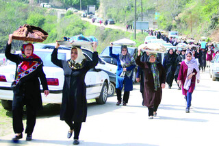 عید مردگان، جشن زندگی