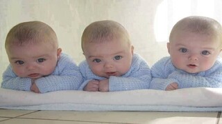 یک هزار و ۳۴۵ کودک چند قلو تحت پوشش بهزیستی زنجان هستند