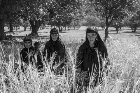 سختکوشی دختران زاگرس، توجه رسانه آمریکایی را برانگیخت + عکسها