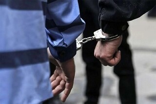 دستگیری ۶۸۹ سارق در کشور طی ۷۲ ساعت