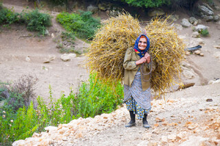 تمام زنان سرپرست خانوار روستایی بیمه رایگان می شوند