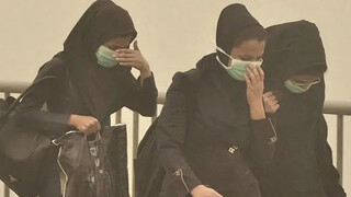 رئیس سازمان حفاظت محیط‌زیست: همه دستگاه ها در موضوع گردو غبار پای کار باشند