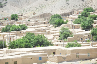 کوچ از کشاورزی؛ زنگ خطر مهاجرت در خراسان رضوی