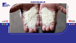 فیلم | چرا قیمت برنج قد کشید؟