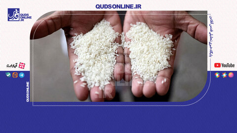 چرا قیمت برنج قد کشید؟