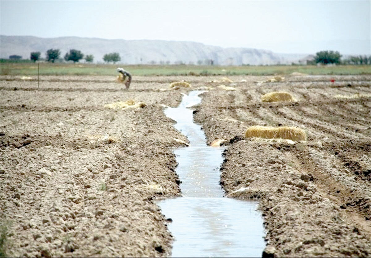کشاورزی سنتی، مخرب منابع آب و خاک در کشور