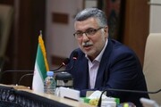 هشدار وزیر بهداشت درباره افت فرزندآوری /  نرخ باروری در برخی استان‌ها به ۰.۹ رسید