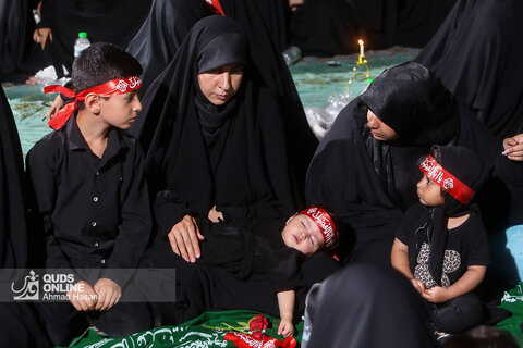 سفره حضرت رقیه سلام الله علیها در مشهد