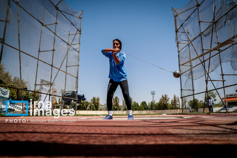 منتخب هفته