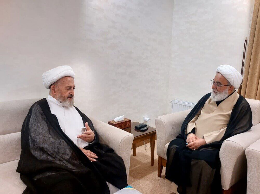 آیت الله العظمی سبحانی: دروس آزاد حوزه تقویت شود / امید واثق به حل مشکلات حوزه‌های علمیه دارم