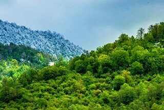 هشدار آتش‌سوزی در جنگل‌های مازندران