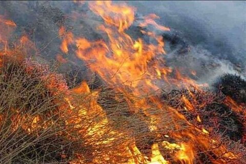 عشایر خواستار کمک فوری شدند