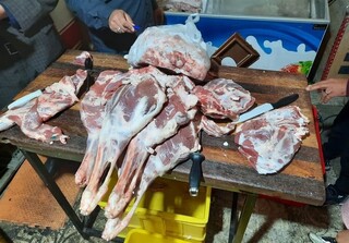جمع‌آوری کشتارهای غیرمجاز در استان بوشهر