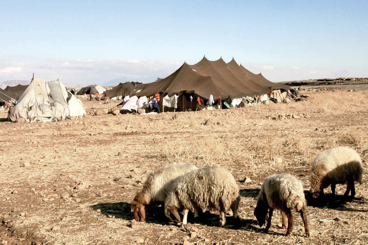 ساماندهی عشایر خراسان رضوی؛ از تصویب آیین‌نامه تا چالش‌های میدانی