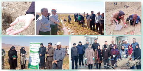 دلم می‌خواهد زیرساخت را درست کنم / ساعتی با مهندس معدنی که دل در گرو محیط زیست دارد