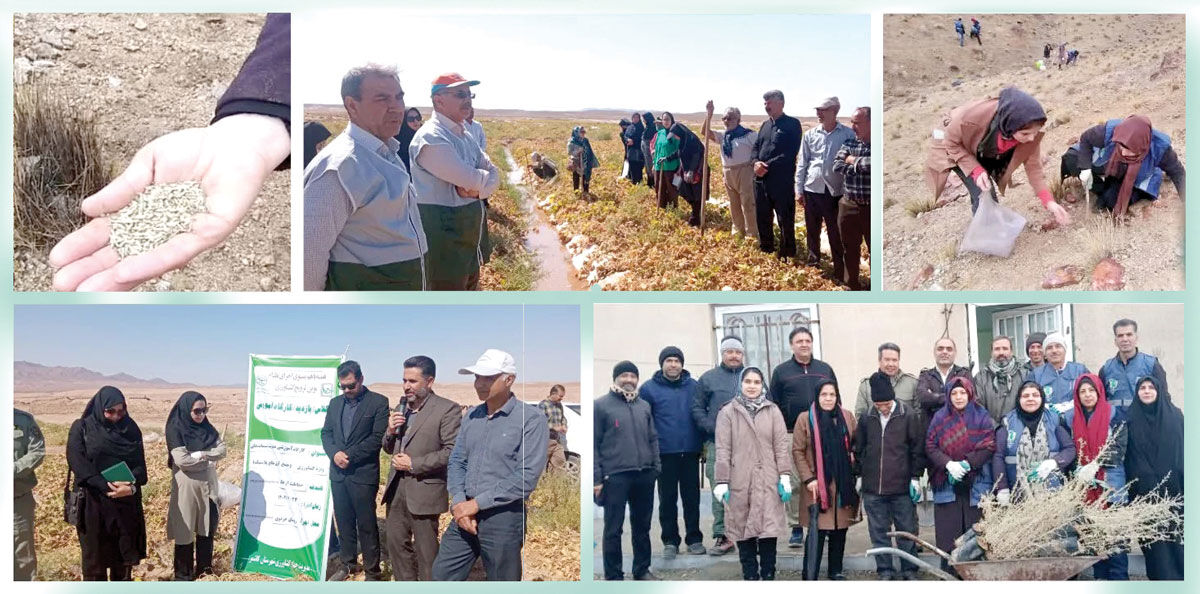 دلم می‌خواهد زیرساخت را درست کنم / ساعتی با مهندس معدنی که دل در گرو محیط زیست دارد