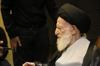 آیت الله العظمی شبیری زنجانی: تربت امام حسین(ع) چگونه صاحب ریاض را از شر وهابی‌ها نجات داد