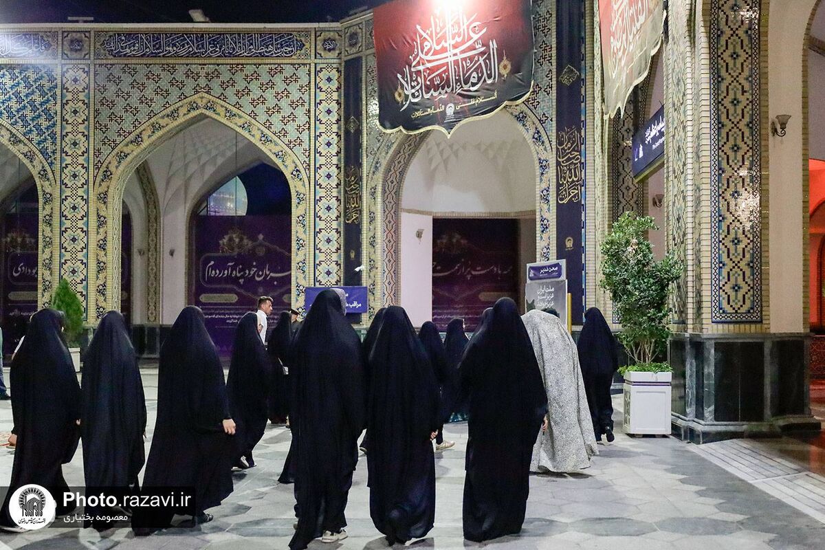 زائر اولیهای «نصف جهان» میهمان هشتمین خورشید زائر اولیهای «نصف جهان» میهمان هشتمین خورشید