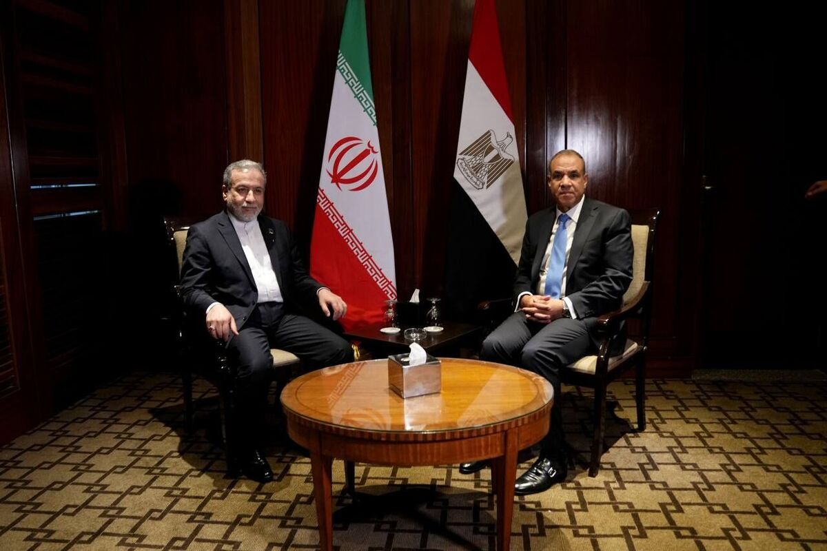 عبدالعاطی: مصر برای تقویت همکاری ایران و آژانس انرژی اتمی تلاش می کند