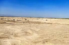 واکنش رئیس سازمان منابع طبیعی به یک مصوبه: انحلالی در کار نیست
