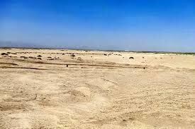 واکنش رئیس سازمان منابع طبیعی به یک مصوبه: انحلالی در کار نیست