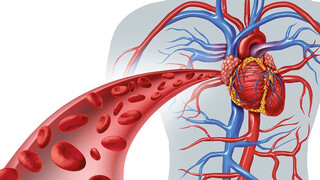 این بیماری به کوچک و بزرگ رحم نمی‌کند