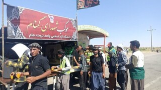 اعزام ۱۰ هزار زائر تربت‌جامی به مشهدالرضا(ع)