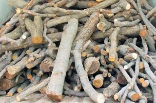 کشف ۲ تن چوب درختان بلوط در کهگیلویه و بویراحمد