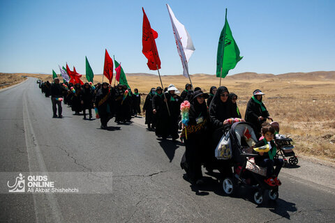خدمت رسانی به زائران پیاده امام رضا (ع)