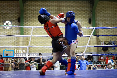 عکس منتخب هفته
