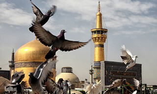 توسل به امام رضا (ع) برای گرفتن حاجات