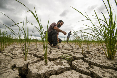 آبخیزداری، نجات بخش همدان از بحران کم آبی
