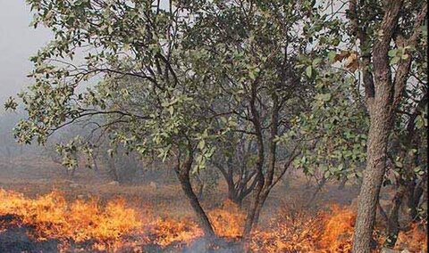 ارتفاعات چالوس درگیر آتشسوزی شد