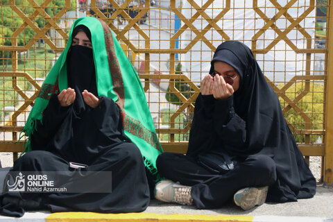 عزاداری شهادت امام رضا (ع)