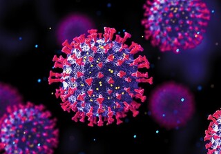 روش‌های انتقال ویروس HPV / تزریق واکسن به معنی مصونیت کامل نیست