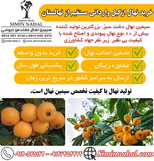 خرید نهال ازگیل اصل و پربار - طعم تازه باغداری را تجربه کنید