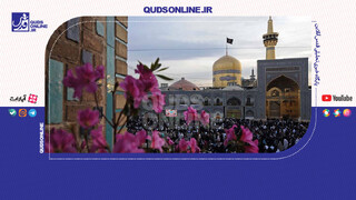 فیلم | چه شود گر تو پناهم باشی...