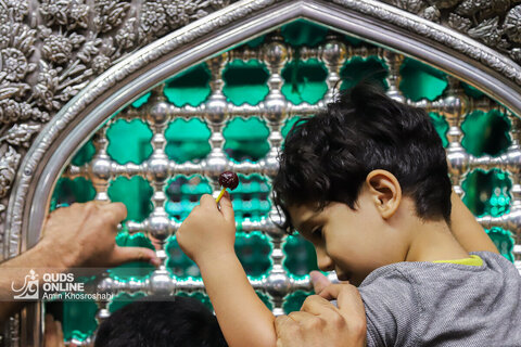 آیین تعویض پرچم گنبد و پوش ضریح مطهر رضوی
