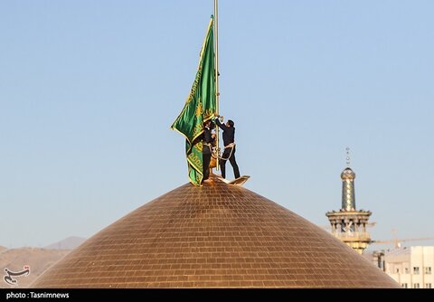 عکس منتخب هفته