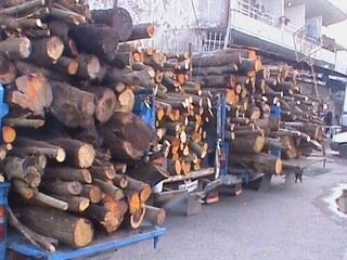 توقیف ۴۰ تن چوب قاچاق جنگلی در صومعه سرا