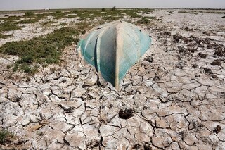 بادشکن غیرزنده تالاب هامون؛ تجربه‌ای بومی با هزینه یک‌دهم طرح‌های مشابه