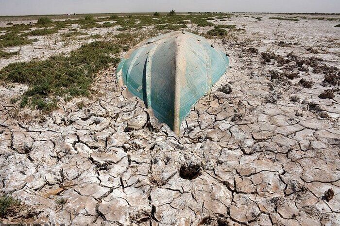 بادشکن غیرزنده تالاب هامون؛ تجربه‌ای بومی با هزینه یک‌دهم طرح‌های مشابه