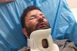 حمله ۳ متخلف به محیط‌بان در شمال تهران