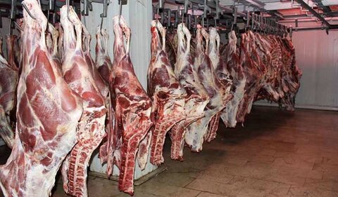 راه اندازی شهرک فرآوری محصولات گوشتی و پروتئینی در اردبیل