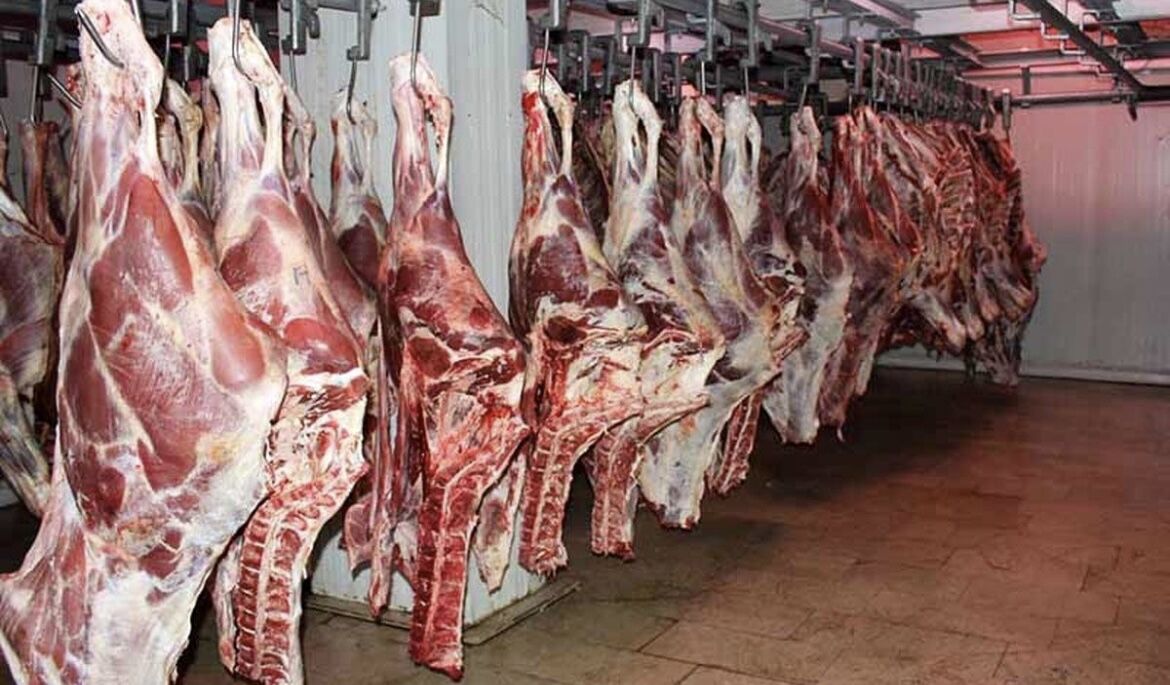 پایان کمبود گوشت کشور با ۵ کیلو وزن بیشتر دام