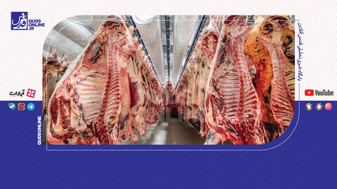 فروش گوشت الاغ در مشهد کذب بود!
