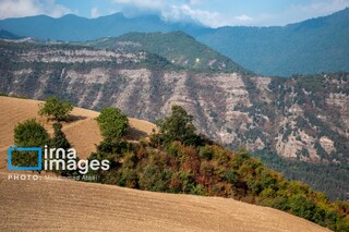 خشکسالی در جنگل‌های هیرکانی گلستان