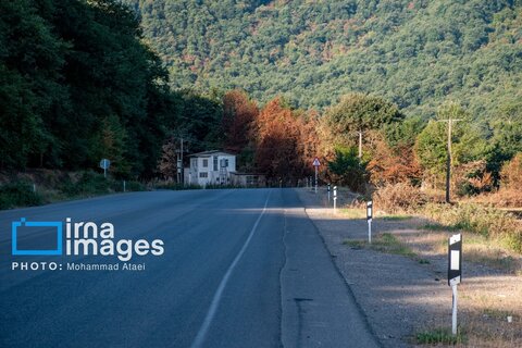 خشکسالی در جنگل‌های هیرکانی گلستان