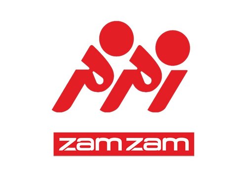 بهترین سبک های طراحی لوگو برای کسب و کارهای ایرانی